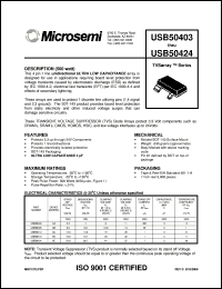 Click here to download USB50403 Datasheet