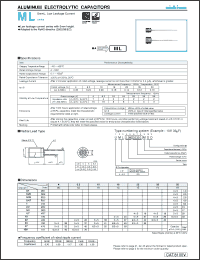 Click here to download UML1A101MDD Datasheet