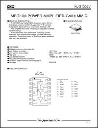 Click here to download NJG1302V-C1 Datasheet