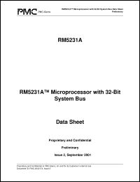 Click here to download RM5231A-250 Datasheet