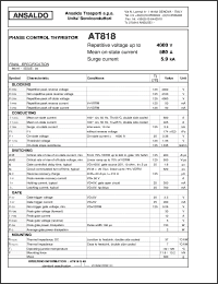 Click here to download AT818S40 Datasheet