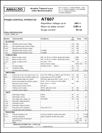 Click here to download AT607 Datasheet