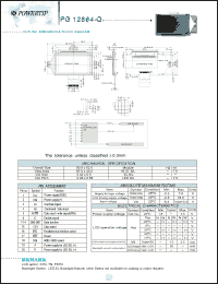 Click here to download PG12864-Q Datasheet