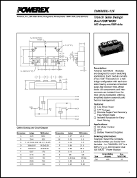 Click here to download CM400DU-12 Datasheet