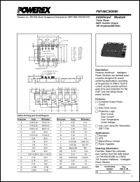 Click here to download PM100CSD060 Datasheet