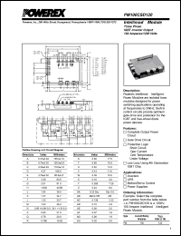 Click here to download PM100CSD120 Datasheet