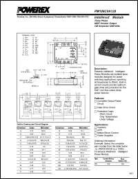 Click here to download PM100CVA120 Datasheet