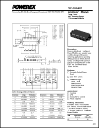 Click here to download PM15CSJ060 Datasheet