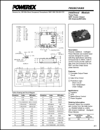 Click here to download PM300CVA060 Datasheet