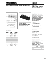 Click here to download CM431255 Datasheet