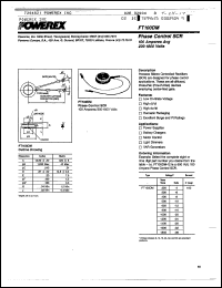 Click here to download FT100DM-28 Datasheet