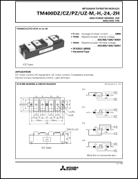Click here to download TM400CZ Datasheet
