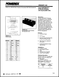 Click here to download CM300DY12H Datasheet