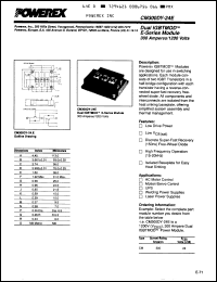 Click here to download CM300DY24E Datasheet