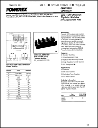 Click here to download GDM11220 Datasheet