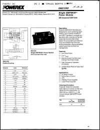 Click here to download IS621230 Datasheet