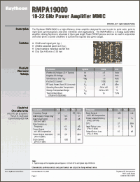 Click here to download RMPA19000 Datasheet