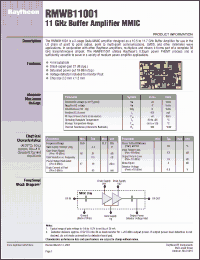 Click here to download RMWB11001 Datasheet