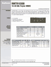 Click here to download RMTR10300 Datasheet