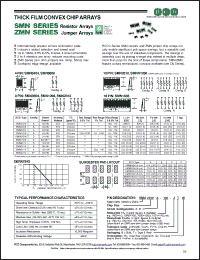 Click here to download ZMN2010B-101-D Datasheet