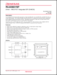 Click here to download R2J20601NP Datasheet