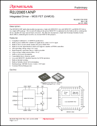 Click here to download R2J20651ANP Datasheet