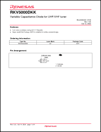 Click here to download RKV5000DKK Datasheet