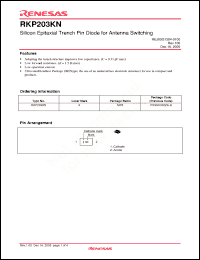 Click here to download RKP203KN Datasheet