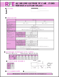 Click here to download RS010M1HBK130250 Datasheet