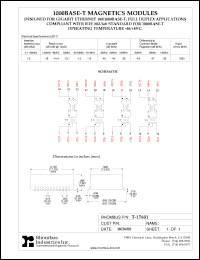 Click here to download T-17601 Datasheet