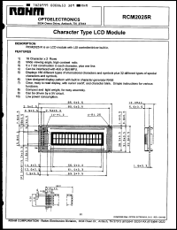 Click here to download RCM2025R Datasheet