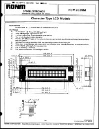 Click here to download RCM2029M Datasheet