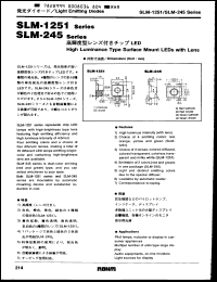Click here to download SLM1251YT Datasheet