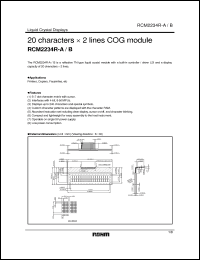 Click here to download RCM2234R Datasheet