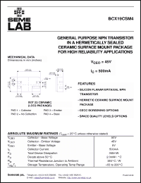 Click here to download BCX19CSM4 Datasheet