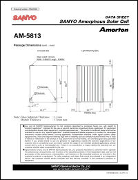 Click here to download AM-5813 Datasheet