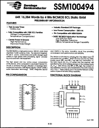 Click here to download SSM100494-20SC Datasheet