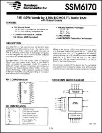 Click here to download SSM6170-25DC Datasheet