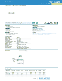Click here to download 0034.3110 Datasheet