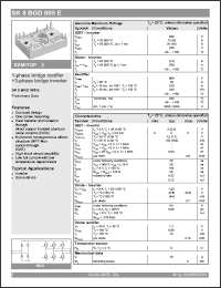 Click here to download SK8BGD065E Datasheet