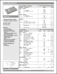 Click here to download SK9BGD065 Datasheet