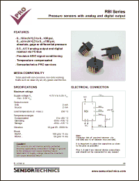 Click here to download RBIP001DB Datasheet