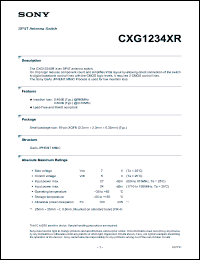 Click here to download CXG1234XR Datasheet