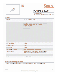 Click here to download DNK5306X Datasheet
