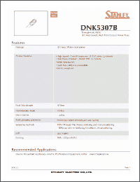 Click here to download DNK5307B Datasheet
