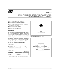 Click here to download TS613 Datasheet