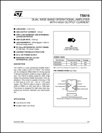Click here to download TS616IDW Datasheet