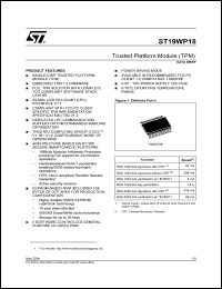 Click here to download ST19WP18 Datasheet