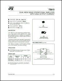 Click here to download TS613_02 Datasheet