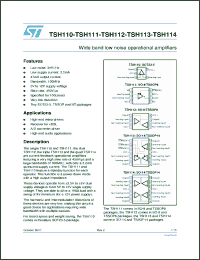 Click here to download TSH110_07 Datasheet